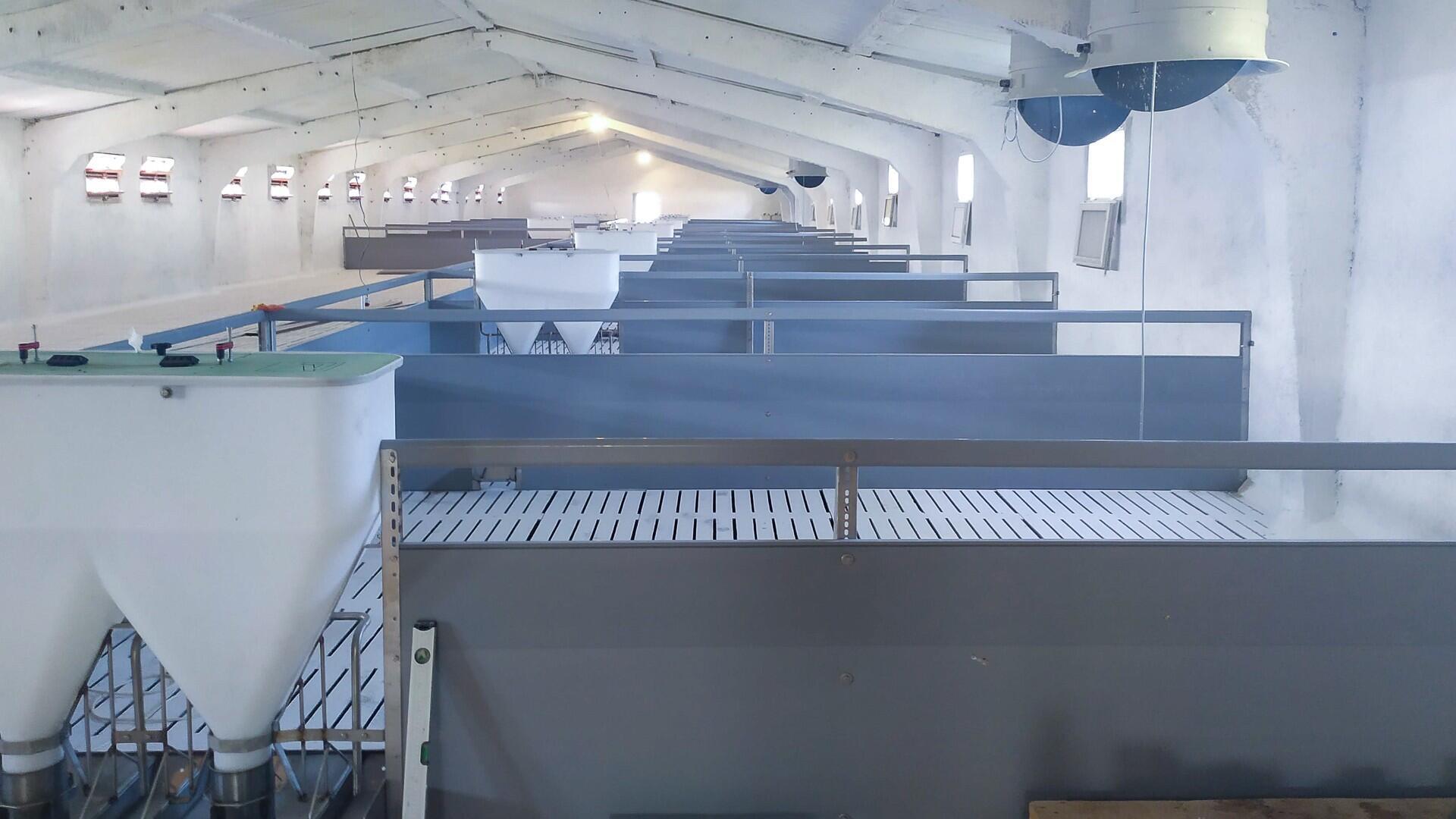 Reconstrucția unei ferme de porci din sat. Greblești