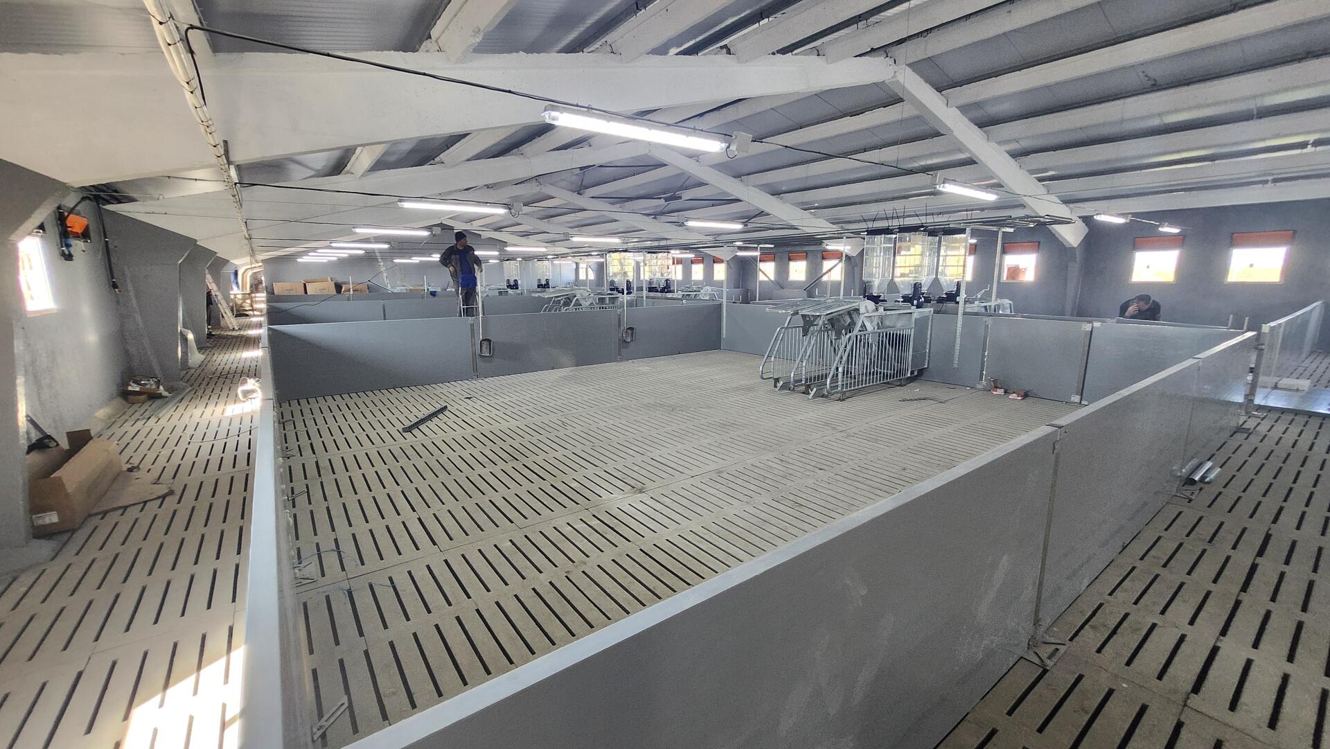 Reconstrucția unei ferme de porci din sat.Сimișeni